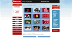 Desktop Screenshot of kortti.net