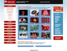 Tablet Screenshot of kortti.net